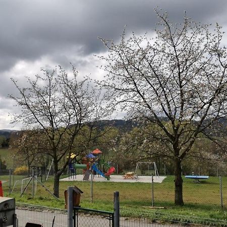 Volenice  Apartman Sumava U Rybaku מראה חיצוני תמונה