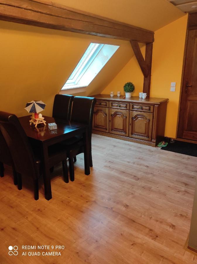Volenice  Apartman Sumava U Rybaku מראה חיצוני תמונה