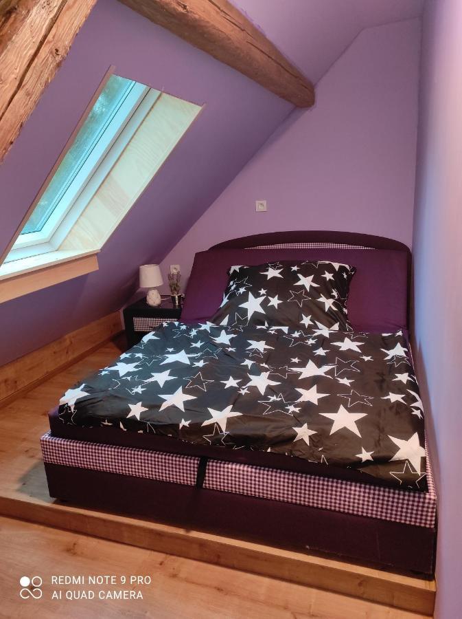 Volenice  Apartman Sumava U Rybaku מראה חיצוני תמונה