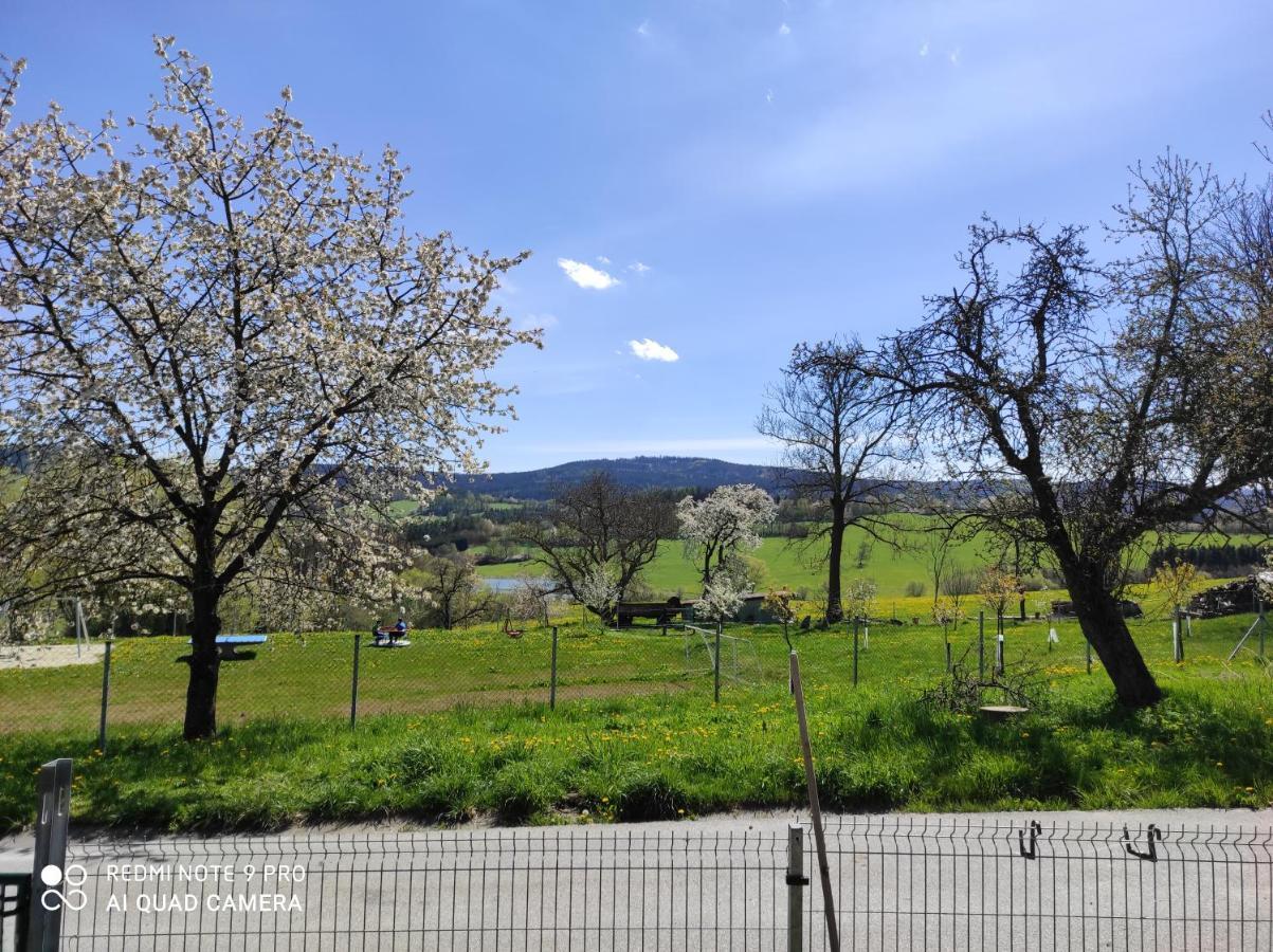 Volenice  Apartman Sumava U Rybaku מראה חיצוני תמונה